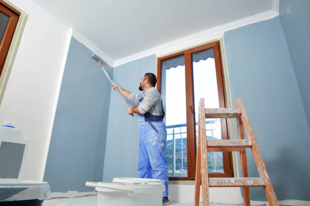 Colville, WA Mold Removal Company