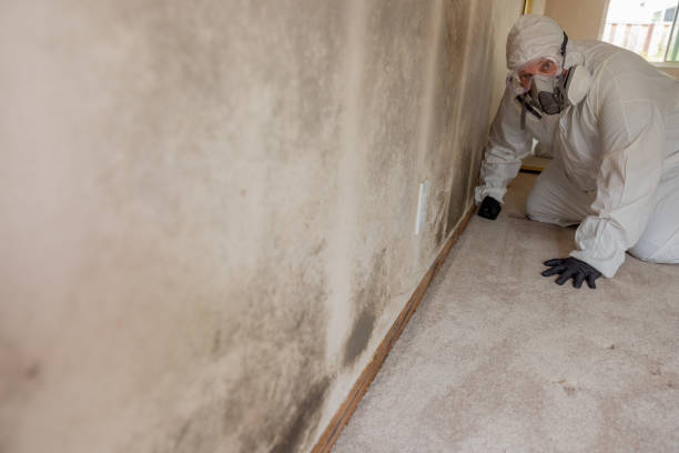 Best Dehumidification Services  in Colville, WA