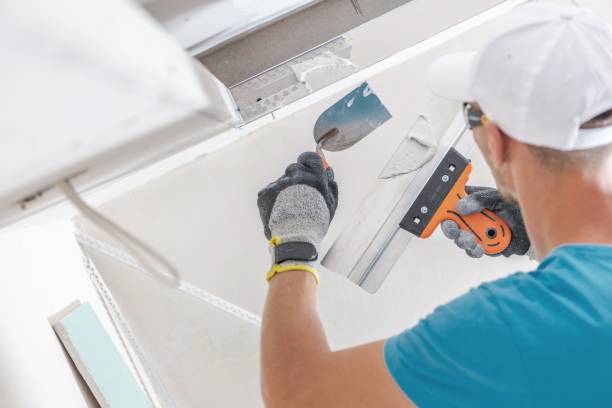 Best Forensic Mold Investigation  in Colville, WA
